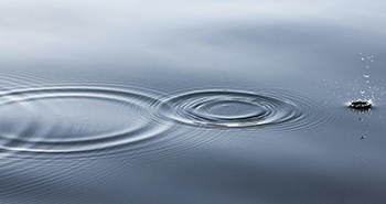 Ripples on the surface of water